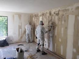 Best Post-Construction Mold Inspection  in Flomaton, AL